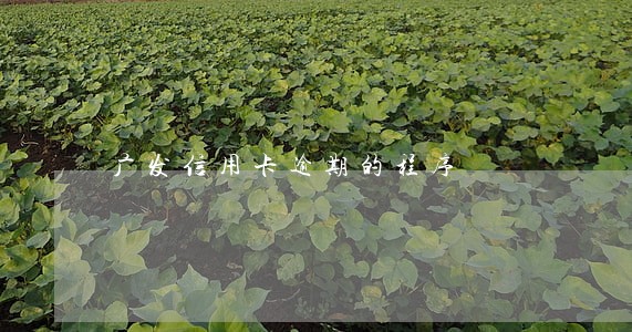广发信用卡逾期的程序 广发信用卡逾期的程序