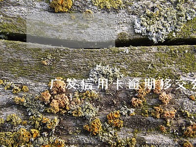 广发信用卡逾期移交公安局 广发信用卡逾期移交公安局