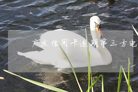广发信用卡逾期第三方电话多少 广发信用卡逾期第三方电话多少