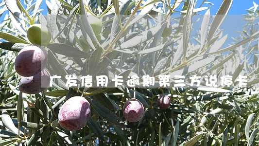 广发信用卡逾期第三方说停卡 广发信用卡逾期第三方说停卡