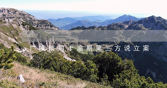 广发信用卡逾期第三方说立案 广发信用卡逾期第三方说立案