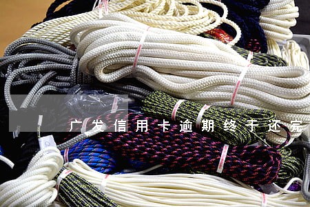 广发信用卡逾期终于还完了
