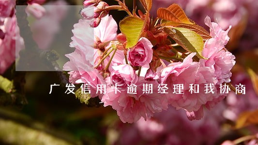 广发信用卡逾期经理和我协商