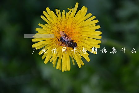 广发信用卡逾期结案什么意思啊 广发信用卡逾期结案什么意思啊
