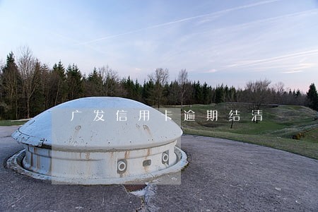 广发信用卡逾期结清 广发信用卡逾期结清