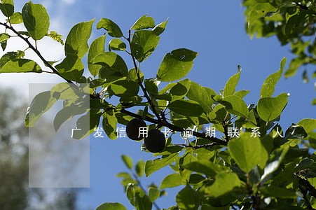 广发信用卡逾期联系人 广发信用卡逾期联系人