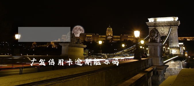 广发信用卡逾期能办吗