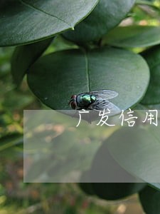 广发信用卡逾期能申请临额吗 广发信用卡逾期能申请临额吗