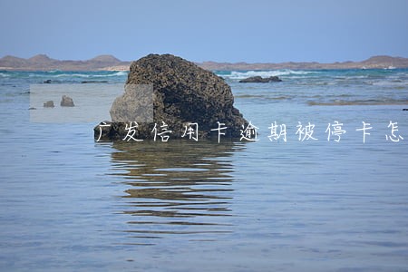 广发信用卡逾期被停卡怎么办