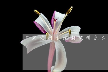 广发信用卡逾期被锁怎么办 广发信用卡逾期被锁怎么办
