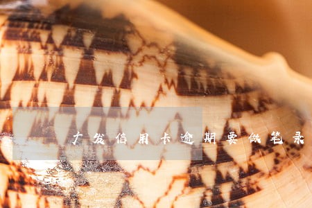 广发信用卡逾期要做笔录 广发信用卡逾期要做笔录