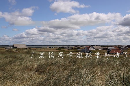 广发信用卡逾期要外访了 广发信用卡逾期要外访了