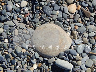 广发信用卡逾期要报案 广发信用卡逾期要报案