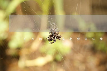 广发信用卡逾期要走法律程序 广发信用卡逾期要走法律程序