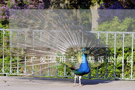 广发信用卡逾期诉讼阶段 广发信用卡逾期诉讼阶段