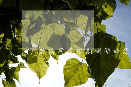 广发信用卡逾期调解好还是审判好