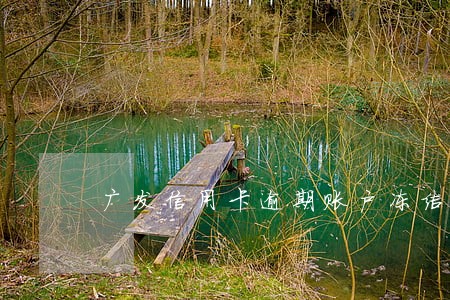 广发信用卡逾期账户冻结 广发信用卡逾期账户冻结