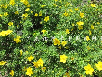广发信用卡逾期费用很高 广发信用卡逾期费用很高