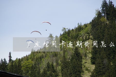 广发信用卡逾期费用怎么算的 广发信用卡逾期费用怎么算的