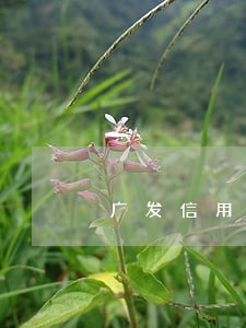 广发信用卡逾期费用真高 广发信用卡逾期费用真高