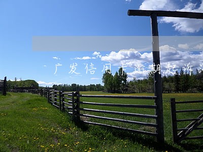 广发信用卡逾期起诉法院 广发信用卡逾期起诉法院