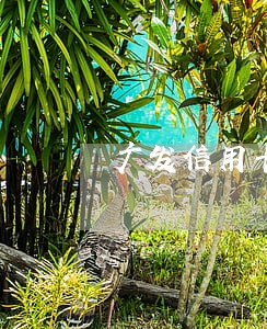 广发信用卡逾期跟谁沟通协商 广发信用卡逾期跟谁沟通协商