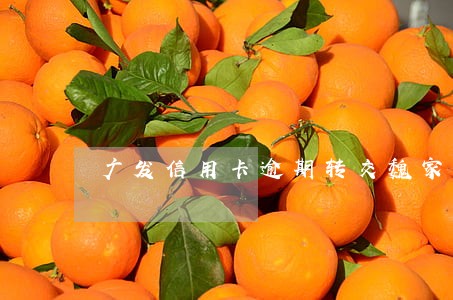 广发信用卡逾期转交魏家庄派出所 广发信用卡逾期转交魏家庄派出所