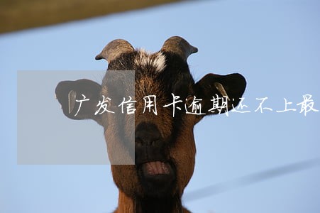 广发信用卡逾期还不上最低还款 广发信用卡逾期还不上最低还款