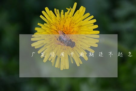 广发信用卡逾期还不起怎么办 广发信用卡逾期还不起怎么办
