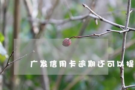广发信用卡逾期还可以提额吗 广发信用卡逾期还可以提额吗