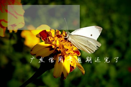 广发信用卡逾期还完了