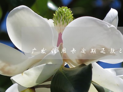 广发信用卡逾期还款2018