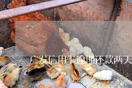 广发信用卡逾期还款两天收利息吗 广发信用卡逾期还款两天收利息吗