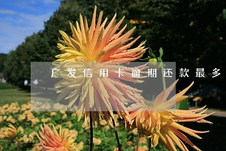 广发信用卡逾期还款最多几天