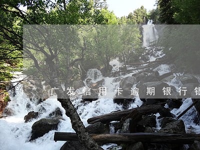 广发信用卡逾期银行银行强制 广发信用卡逾期银行银行强制
