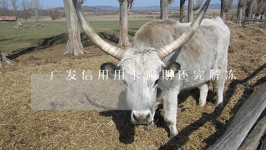 广发信用用卡逾期还完解冻 广发信用用卡逾期还完解冻