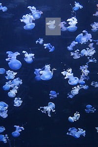 广发信用逾期一天要扣手续费吗