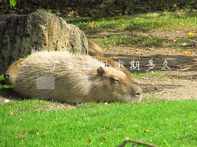 广发信用逾期多久