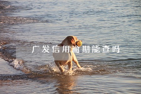 广发信用逾期能查吗 广发信用逾期能查吗