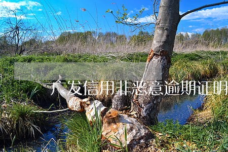 广发信用非恶意逾期证明怎么开 广发信用非恶意逾期证明怎么开