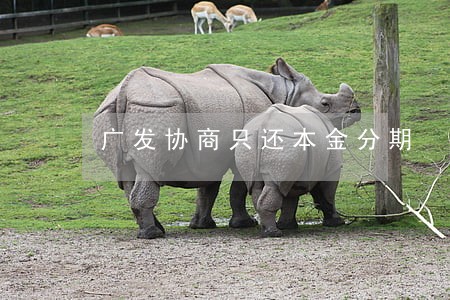 广发协商只还本金分期 广发协商只还本金分期