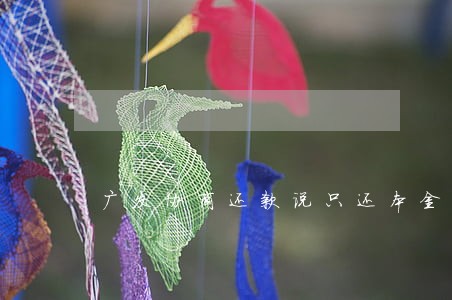 广发协商还款说只还本金 广发协商还款说只还本金