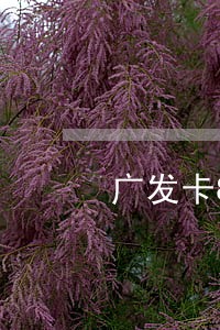 广发卡8000逾期半年
