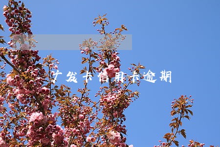 广发卡信用卡逾期 广发卡信用卡逾期
