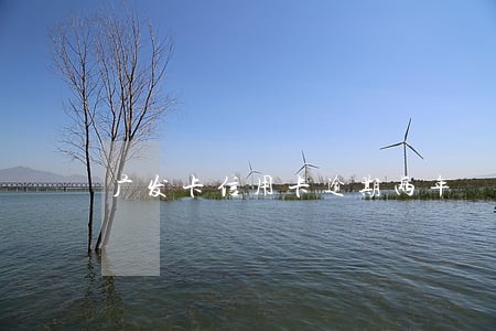 广发卡信用卡逾期两年