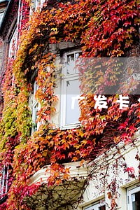 广发卡分期后逾期3天会降额么 广发卡分期后逾期3天会降额么