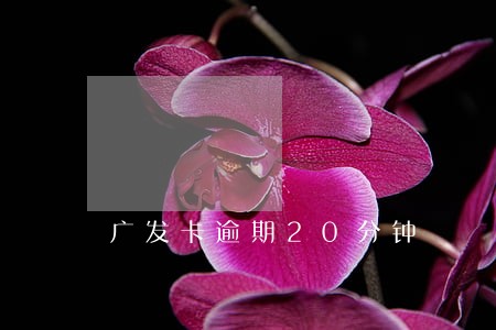 广发卡逾期20分钟