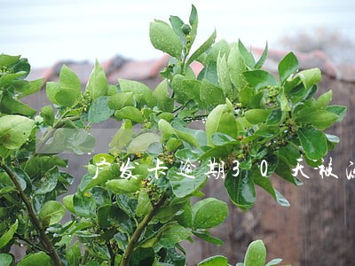 广发卡逾期30天被冻结 广发卡逾期30天被冻结