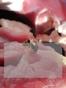 广发卡逾期3个月就上门 广发卡逾期3个月就上门
