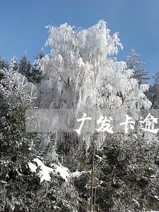 广发卡逾期3个月说要立案 广发卡逾期3个月说要立案